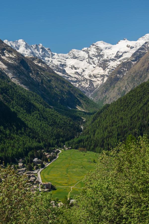 Apartamento Nido delle aquile Cogne Exterior foto